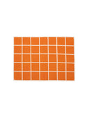 CRISS Blanket Pale Orange