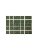 CRISS Blanket Leaf